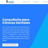 lionconsultores