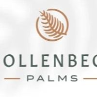 hollenbeckpalms